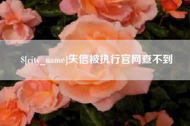 聊城失信被执行官网查不到