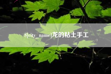 聊城龙的粘土手工