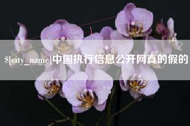 聊城中国执行信息公开网真的假的