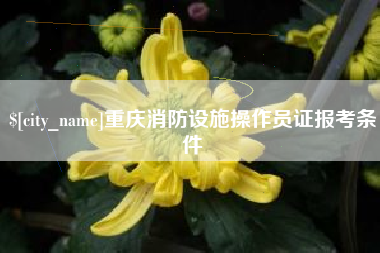 聊城重庆消防设施操作员证报考条件