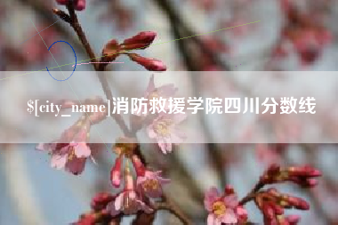 聊城消防救援学院四川分数线