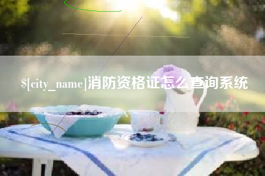 聊城消防资格证怎么查询系统