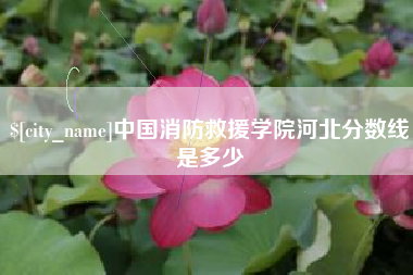聊城中国消防救援学院河北分数线是多少