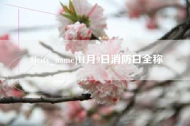 聊城11月9日消防日全称