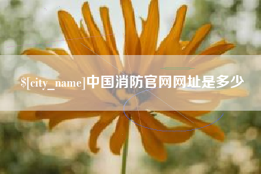 聊城中国消防官网网址是多少