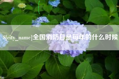 聊城全国消防日是每年的什么时候