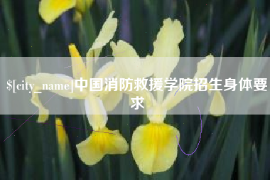 聊城中国消防救援学院招生身体要求