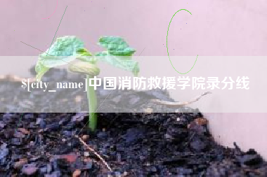 聊城中国消防救援学院录分线