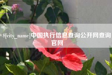 聊城中国执行信息查询公开网查询官网