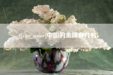 聊城中国的金牌有几名