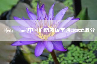 聊城中国消防救援学院2020录取分