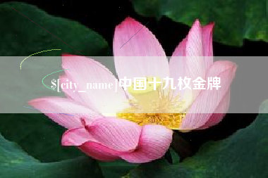 聊城中国十九枚金牌