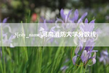 聊城河南消防大学分数线
