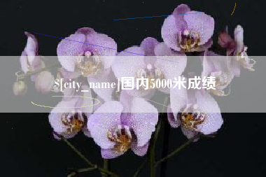 聊城国内5000米成绩