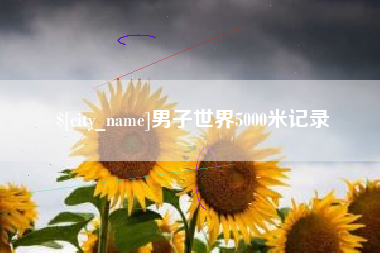 聊城男子世界5000米记录