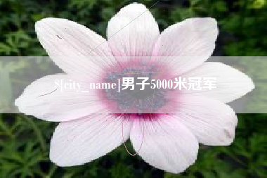 聊城男子5000米冠军