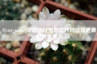 聊城中国执行信息公开网信息更新时间是多久