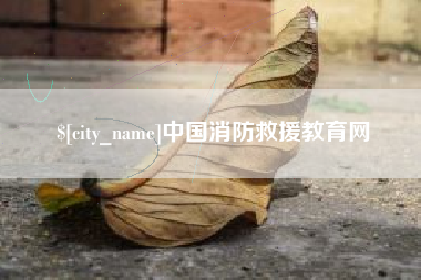 聊城中国消防救援教育网
