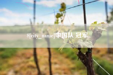 聊城中国队 冠军