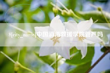 聊城中国消防救援学院管严吗