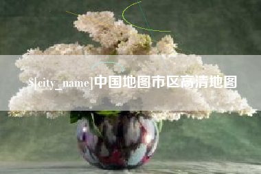 聊城中国地图市区高清地图