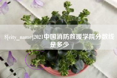 聊城2021中国消防救援学院分数线是多少