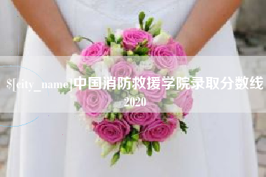 聊城中国消防救援学院录取分数线2020