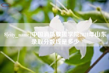 聊城中国消防救援学院2021年山东录取分数线是多少