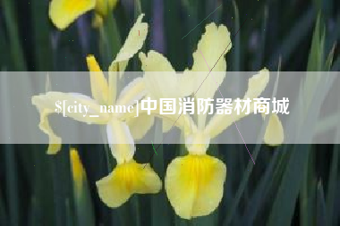 聊城中国消防器材商城