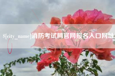 聊城消防考试网官网报名入口网址