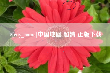 聊城中国地图 超清 正版下载
