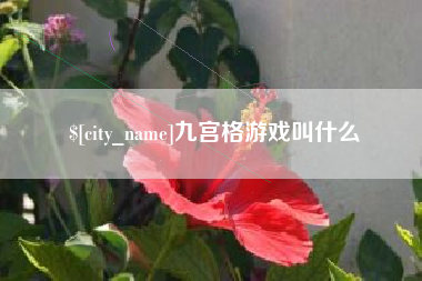 聊城九宫格游戏叫什么