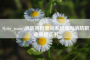聊城消防官网查询系统查询消防职业资格证书