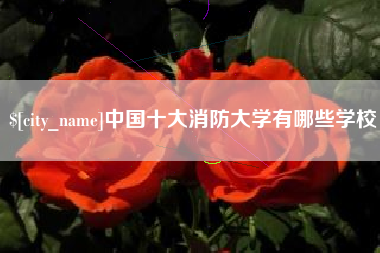 聊城中国十大消防大学有哪些学校