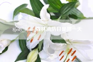 聊城森林消防日是哪一天