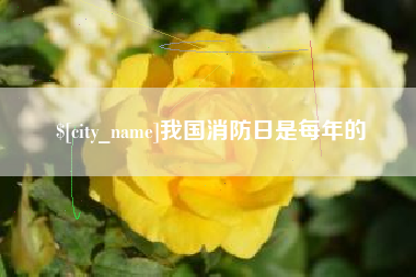 聊城我国消防日是每年的