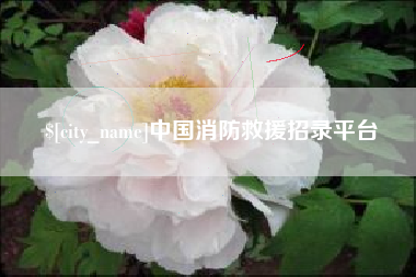 聊城中国消防救援招录平台