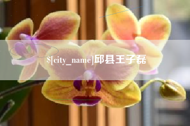 聊城邱县王子磊