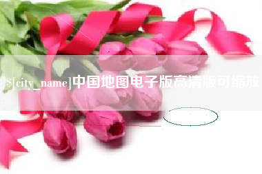 聊城中国地图电子版高清版可缩放
