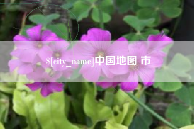 聊城中国地图 市