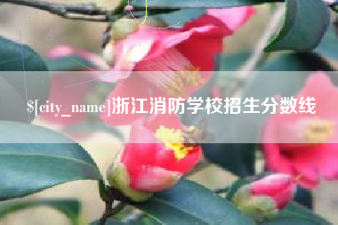 聊城浙江消防学校招生分数线