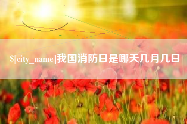 聊城我国消防日是哪天几月几日