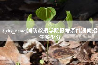 聊城消防救援学院报考条件湖南招生多少分