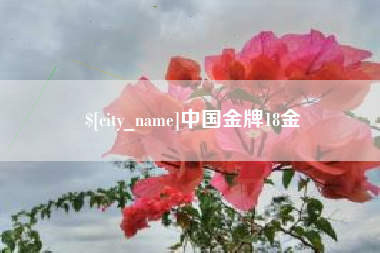 聊城中国金牌18金