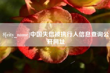 聊城中国失信被执行人信息查询公开网址