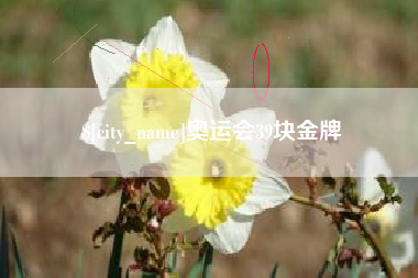 聊城奥运会39块金牌