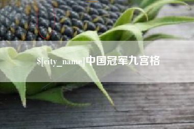 聊城中国冠军九宫格