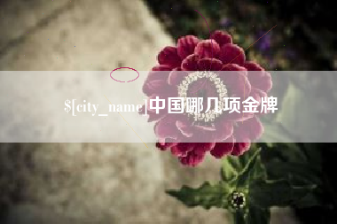 聊城中国哪几项金牌