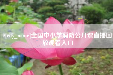 聊城全国中小学消防公开课直播回放观看入口