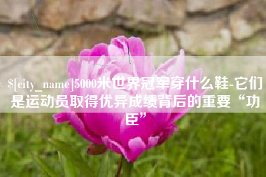 聊城5000米世界冠军穿什么鞋-它们是运动员取得优异成绩背后的重要“功臣”